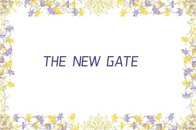 THE NEW GATE剧照